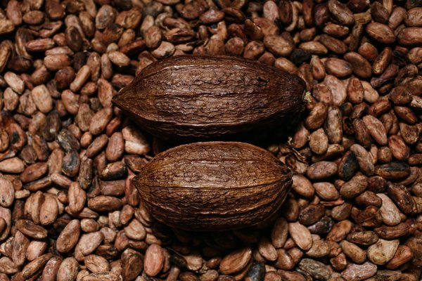 Comment déboucher les toilettes avec du Coca ?