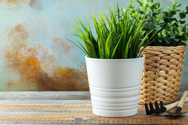 Comment trouver les meilleurs codes promo pour des accessoires de décoration ?
