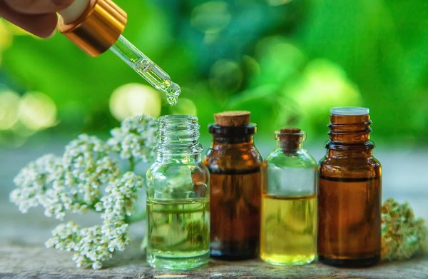 Plante thérapeutique: une solution à vos problèmes de peau